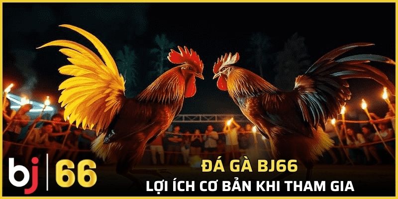 Lợi ích cơ bản khi tham gia vào chuyên mục