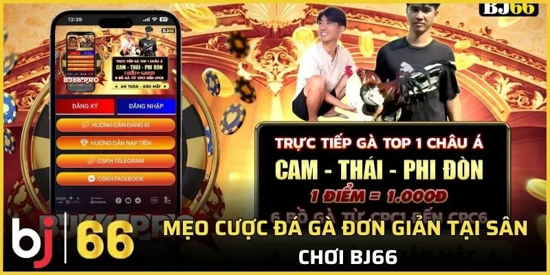 Mẹo cược đá gà đơn giản tại sân chơi Bj66