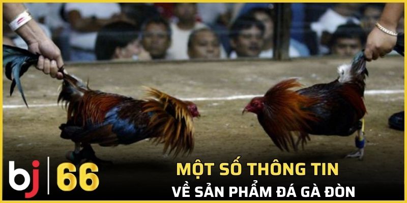 Một số thông tin tổng quan về sản phẩm đá gà đòn
