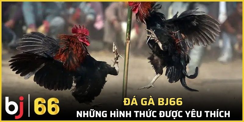 Những hình thức được yêu thích nhất hiện nay